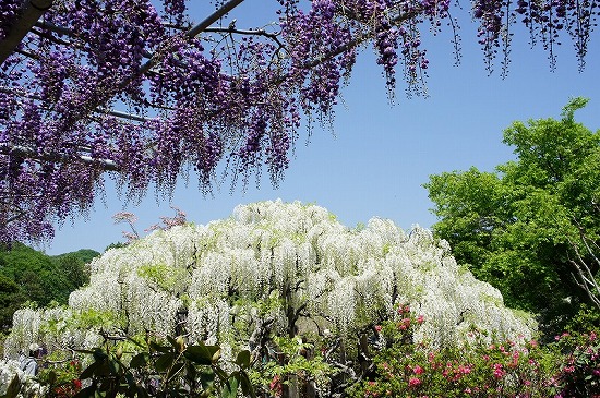 f:id:matu_tak:20120506215201j:image