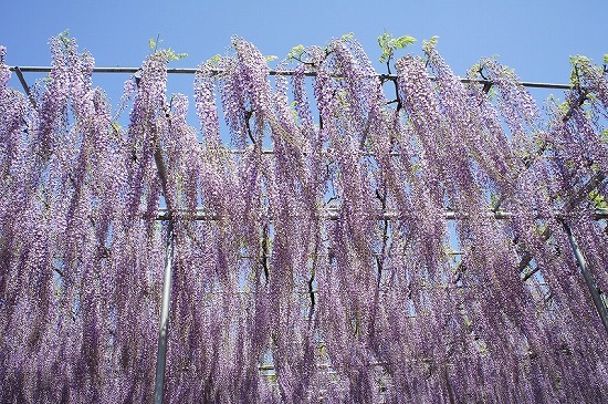 f:id:matu_tak:20120506215203j:image