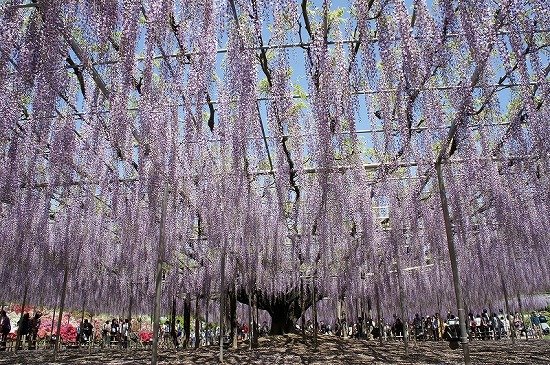 f:id:matu_tak:20120506215204j:image