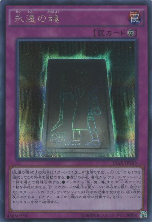 ブラックマジシャン を使いたくて Spring S Diary
