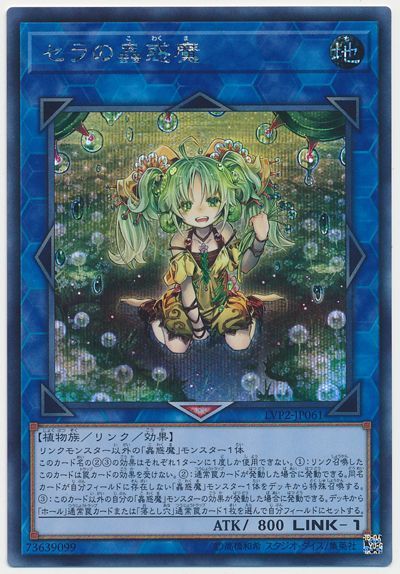 f:id:matuda-purehabu:20181218111537j:image:w360