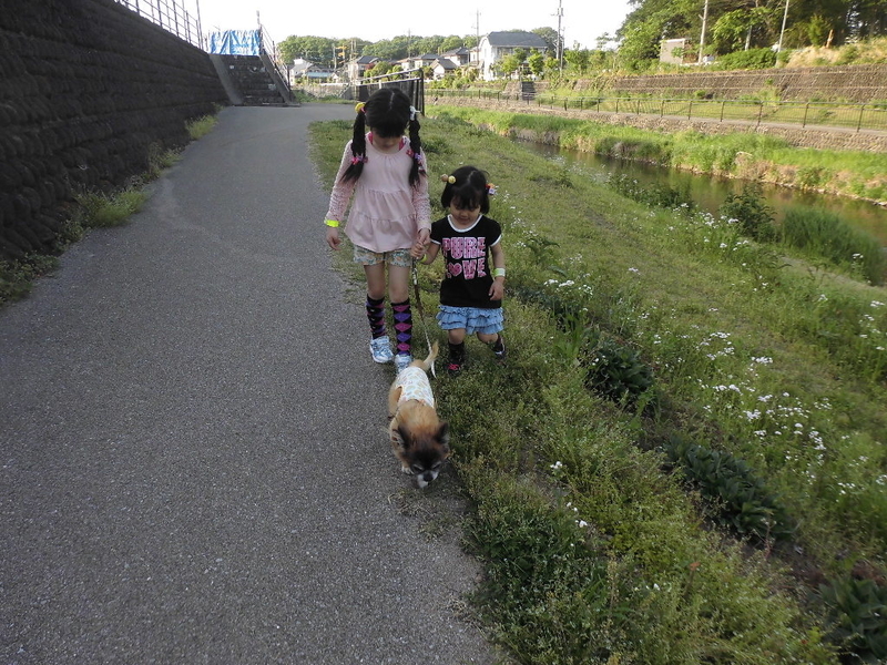 イメージ 4