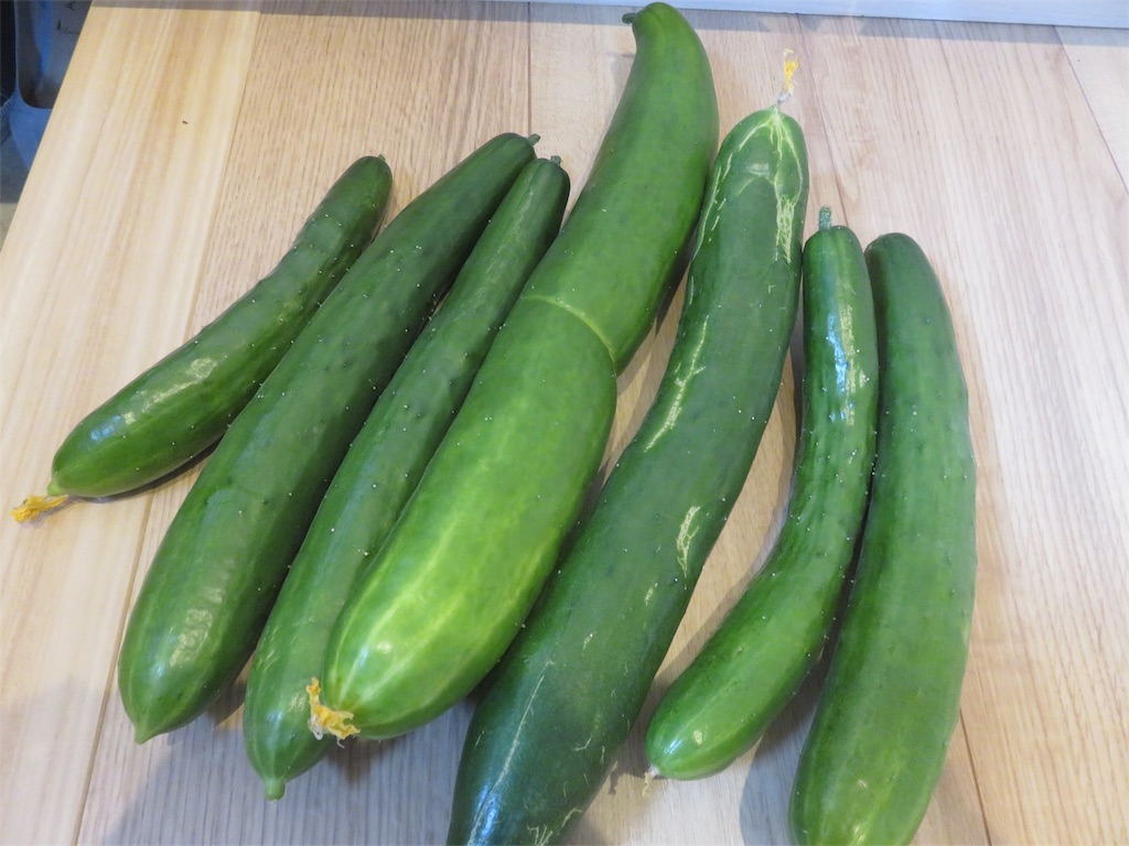 f:id:matundaba79:20190804205435j:image