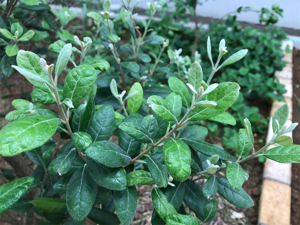 f:id:matundaba79:20190914214234j:image f:id:matundaba79:20190914214234j:image