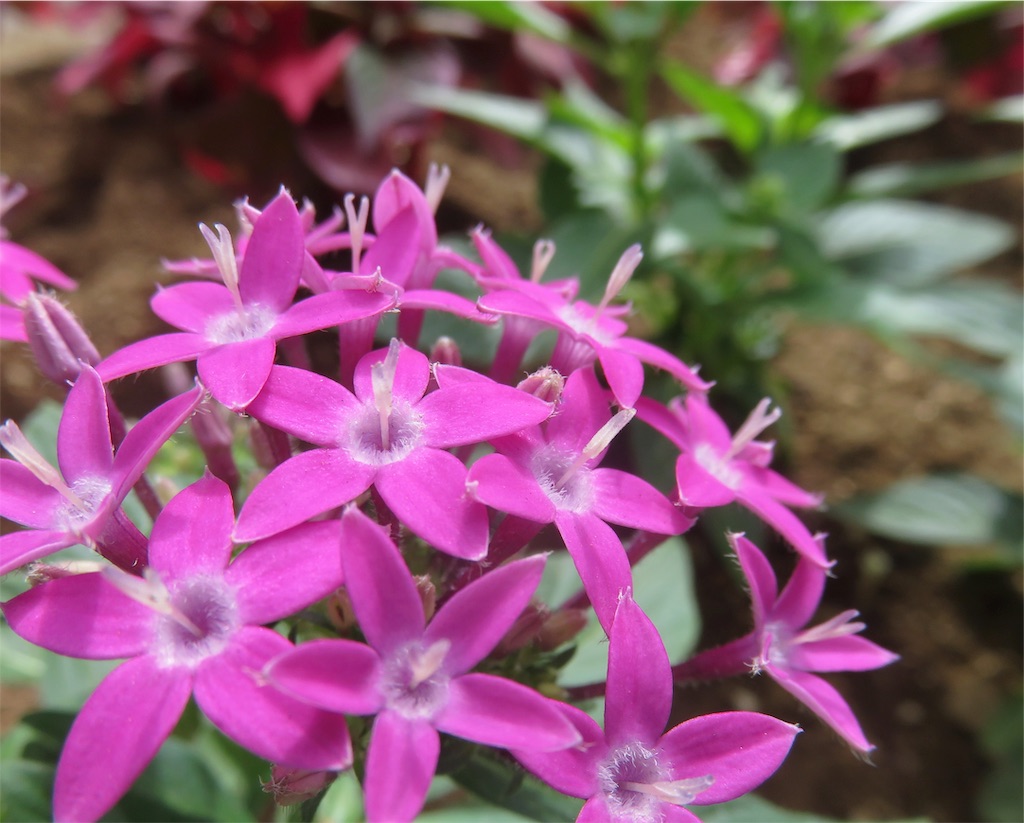 f:id:matundaba79:20190915222140j:image