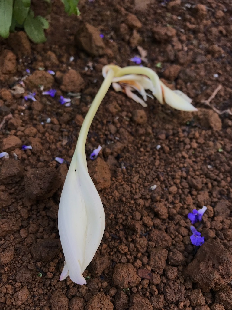 f:id:matundaba79:20190926095241j:image f:id:matundaba79:20190926095241j:image