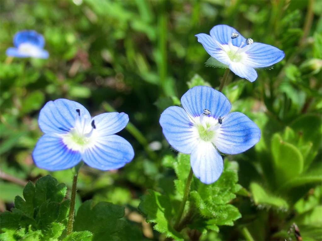 f:id:matundaba79:20190926205717j:image f:id:matundaba79:20190926205717j:image