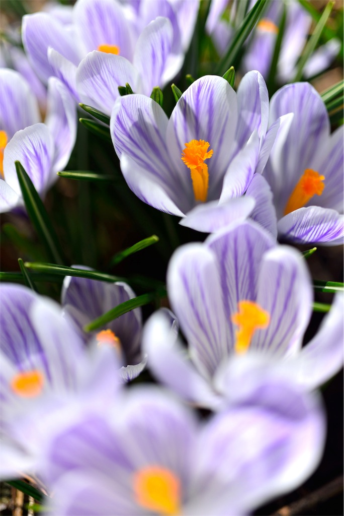 f:id:matundaba79:20190926215358j:image f:id:matundaba79:20190926215358j:image