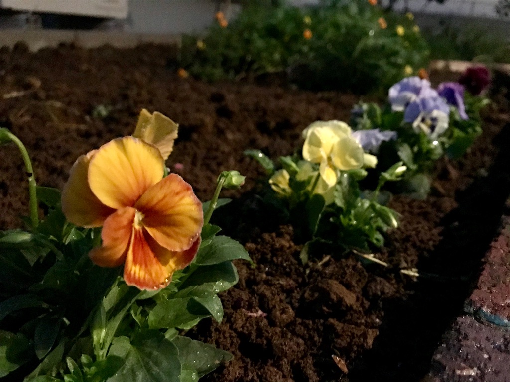 f:id:matundaba79:20191014215701j:image