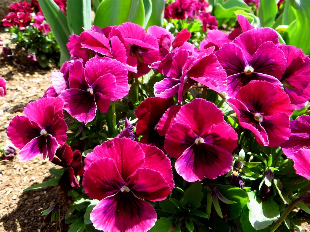 f:id:matundaba79:20191015220516j:image