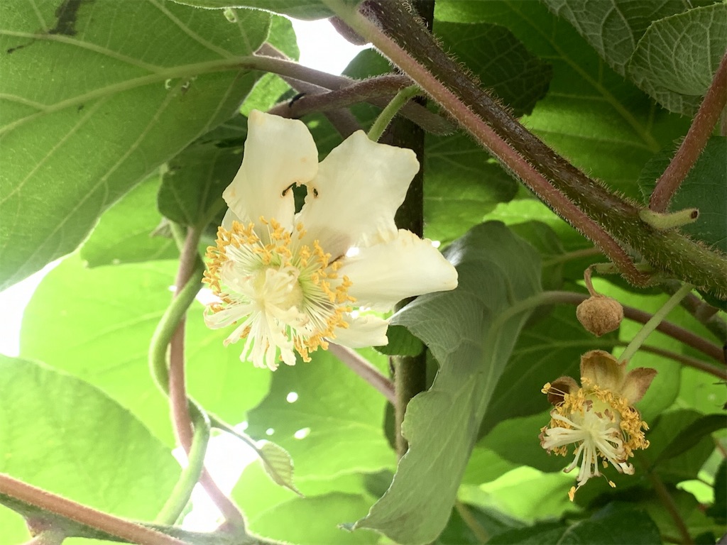 f:id:matundaba79:20191113221832j:image f:id:matundaba79:20191113221832j:image