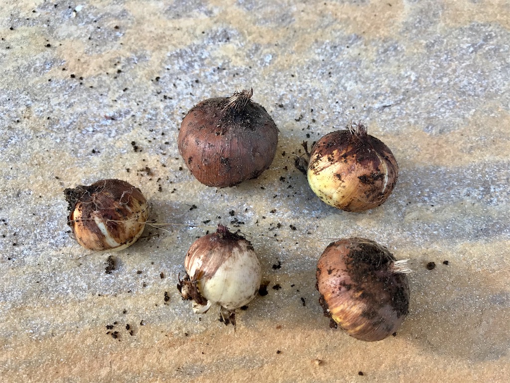 f:id:matundaba79:20191228185455j:image