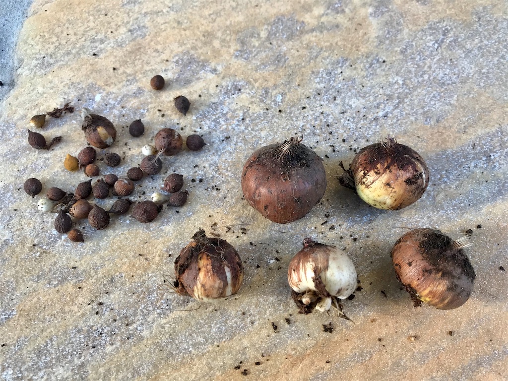 f:id:matundaba79:20191228185507j:image