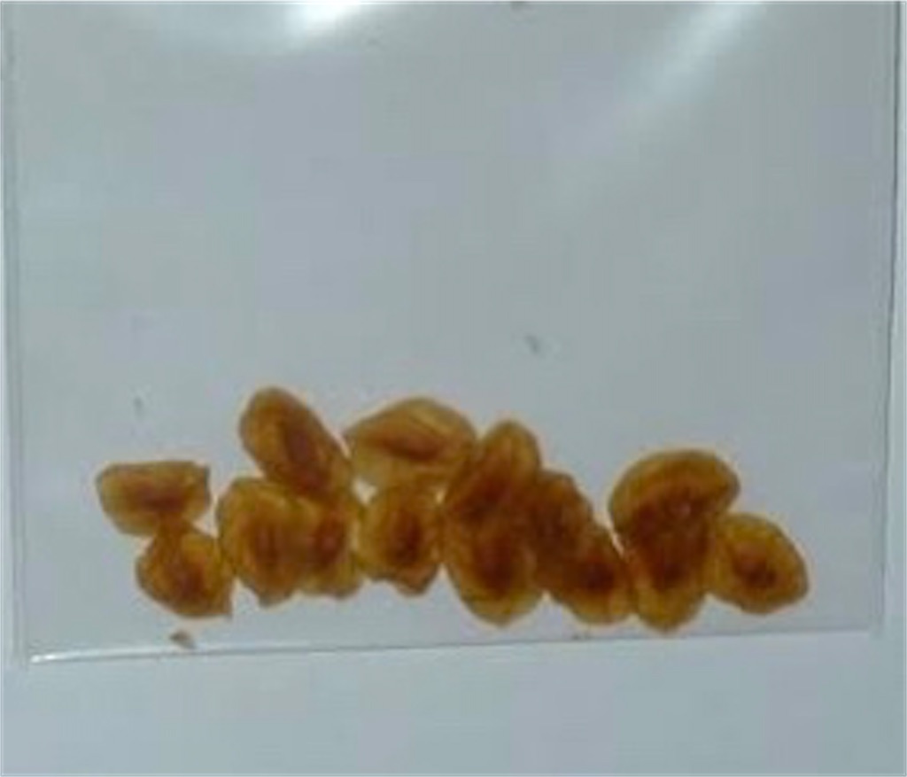 f:id:matundaba79:20191228222028j:image