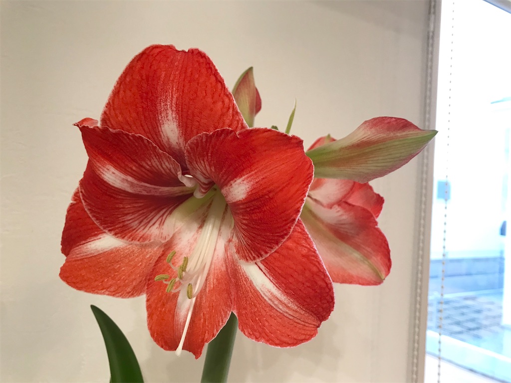 f:id:matundaba79:20200206083740j:image