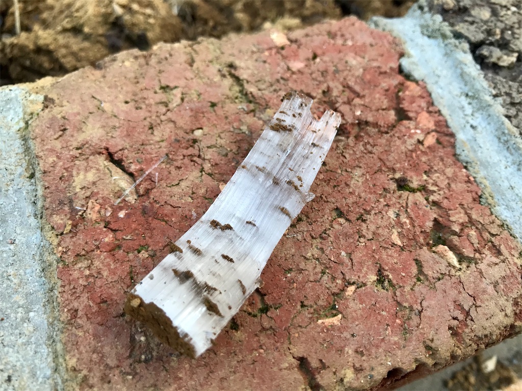 f:id:matundaba79:20200209094919j:image