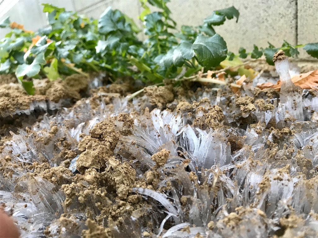 f:id:matundaba79:20200209203238j:image