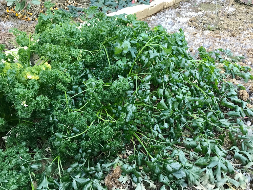 f:id:matundaba79:20200209203411j:image