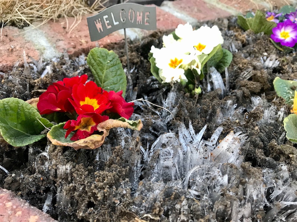 f:id:matundaba79:20200209203548j:image