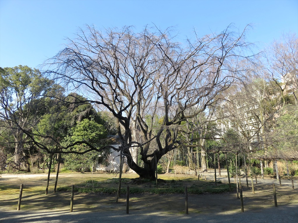f:id:matundaba79:20200210154858j:image