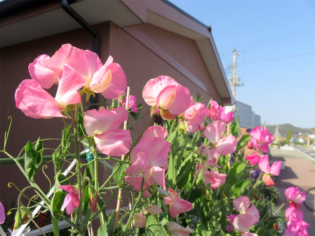 f:id:matundaba79:20200313084206j:image f:id:matundaba79:20200313084206j:image