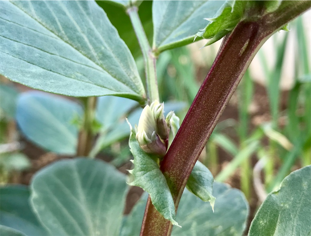 f:id:matundaba79:20200313085133j:image f:id:matundaba79:20200313085133j:image