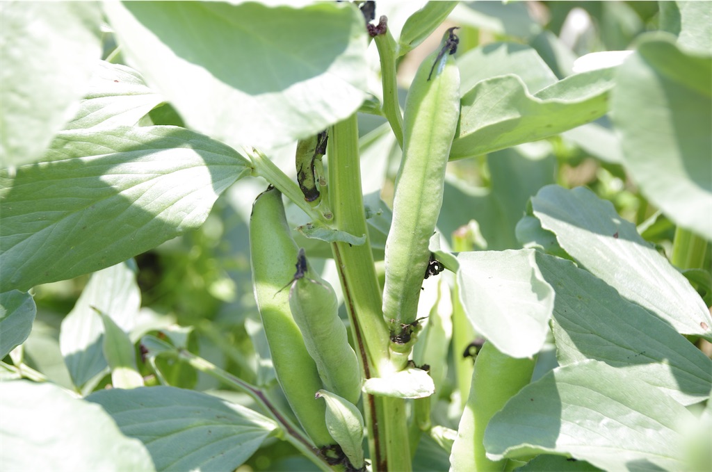 f:id:matundaba79:20200313224805j:image f:id:matundaba79:20200313224805j:image