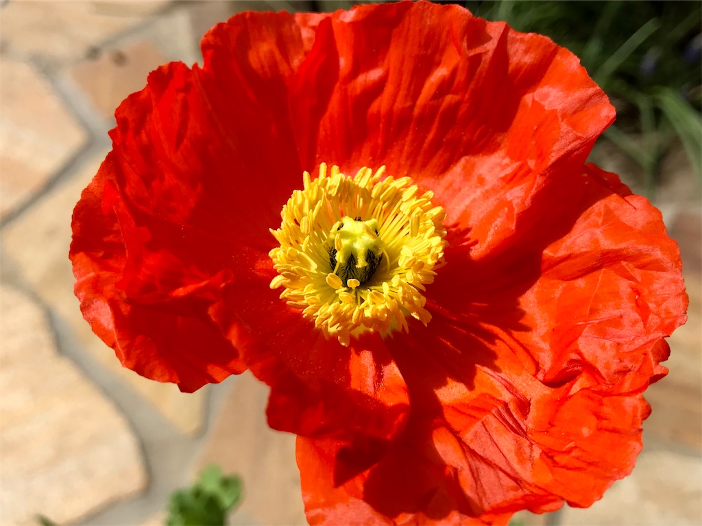 f:id:matundaba79:20200318231121j:image f:id:matundaba79:20200318231121j:image