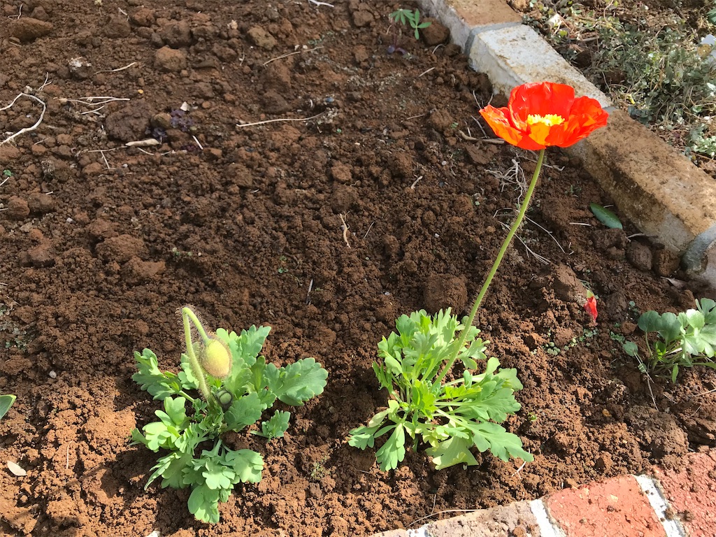 f:id:matundaba79:20200318232017j:image f:id:matundaba79:20200318232017j:image