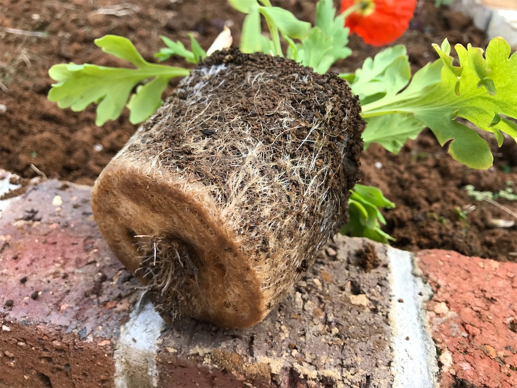 f:id:matundaba79:20200318232024j:image f:id:matundaba79:20200318232024j:image