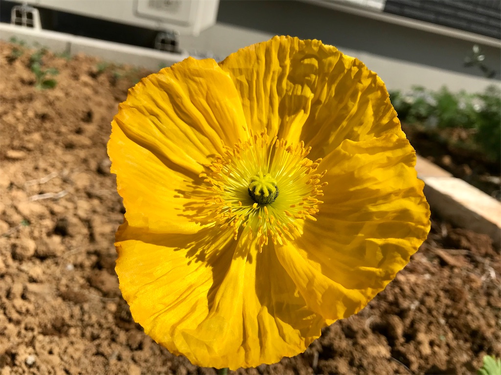 f:id:matundaba79:20200321065204j:image f:id:matundaba79:20200321065204j:image