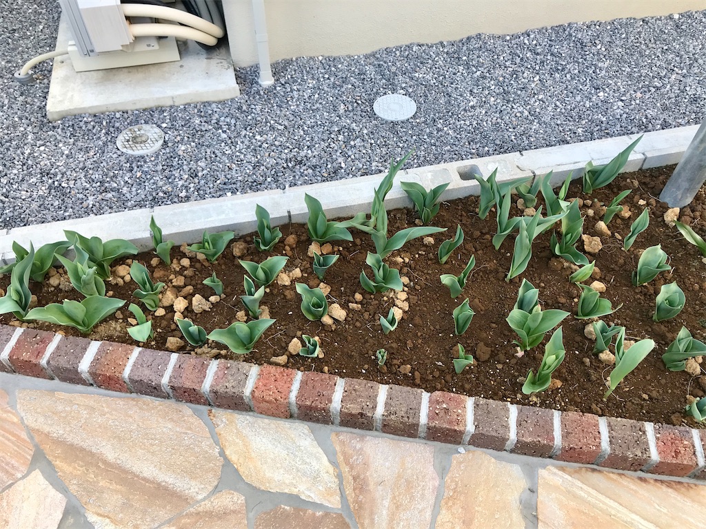 f:id:matundaba79:20200326082344j:image