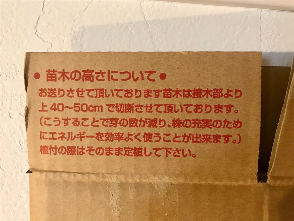 f:id:matundaba79:20200327221846j:image f:id:matundaba79:20200327221846j:image