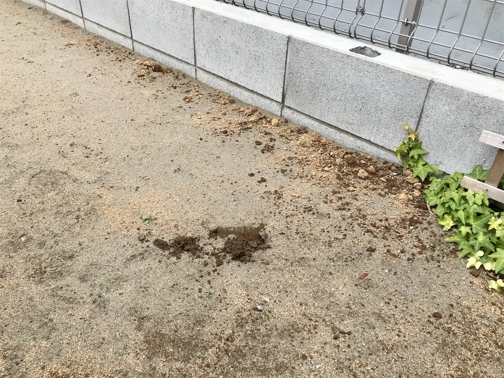 f:id:matundaba79:20200327222209j:image f:id:matundaba79:20200327222209j:image