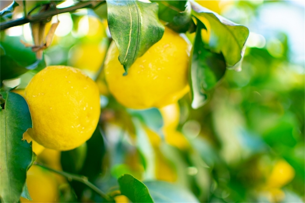 f:id:matundaba79:20200327224435j:image f:id:matundaba79:20200327224435j:image