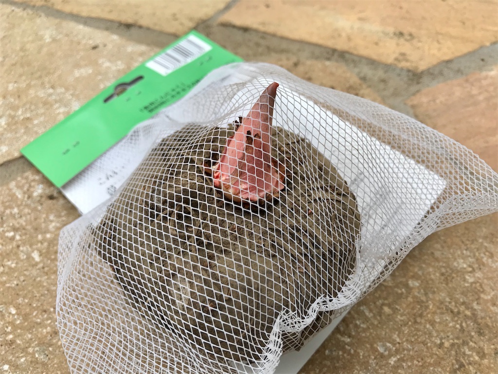 f:id:matundaba79:20200401223412j:image