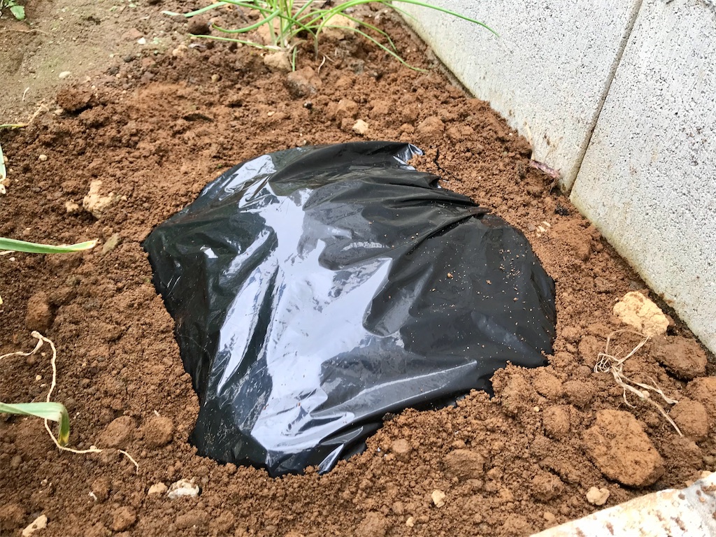 f:id:matundaba79:20200401224302j:image