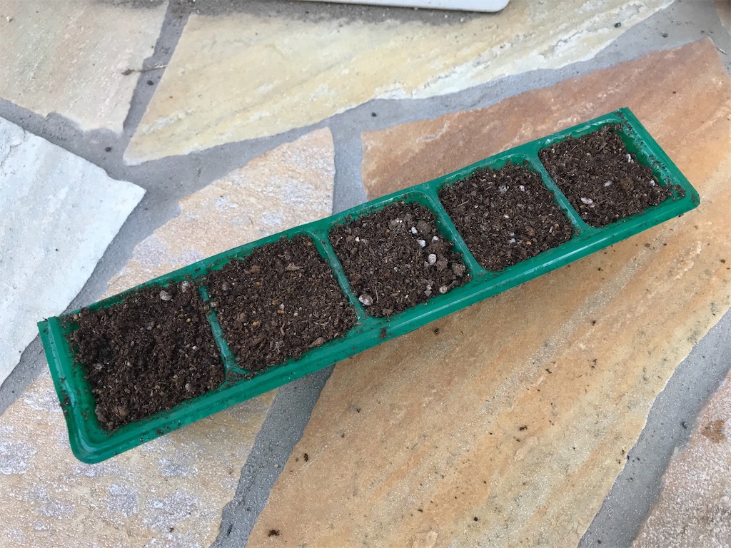 f:id:matundaba79:20200412121505j:image f:id:matundaba79:20200412121505j:image