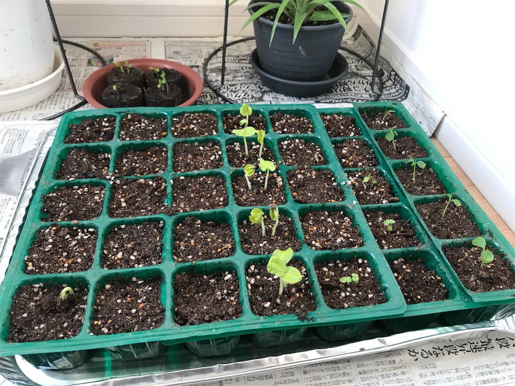 f:id:matundaba79:20200412122236j:image f:id:matundaba79:20200412122236j:image