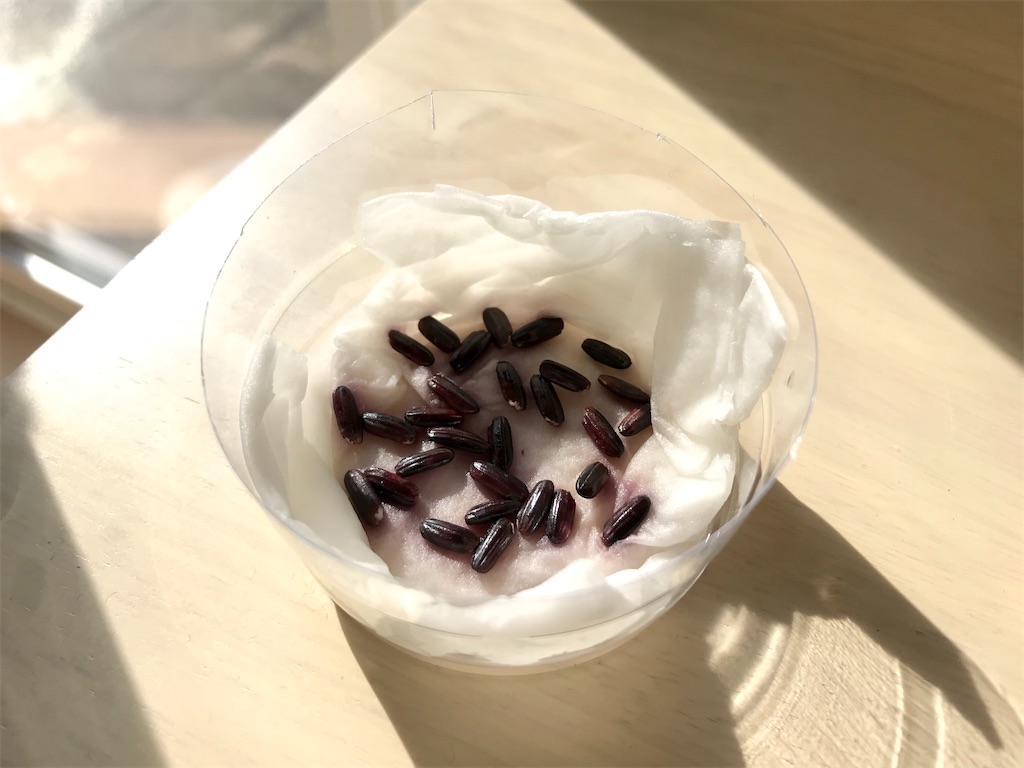 f:id:matundaba79:20200415212039j:image