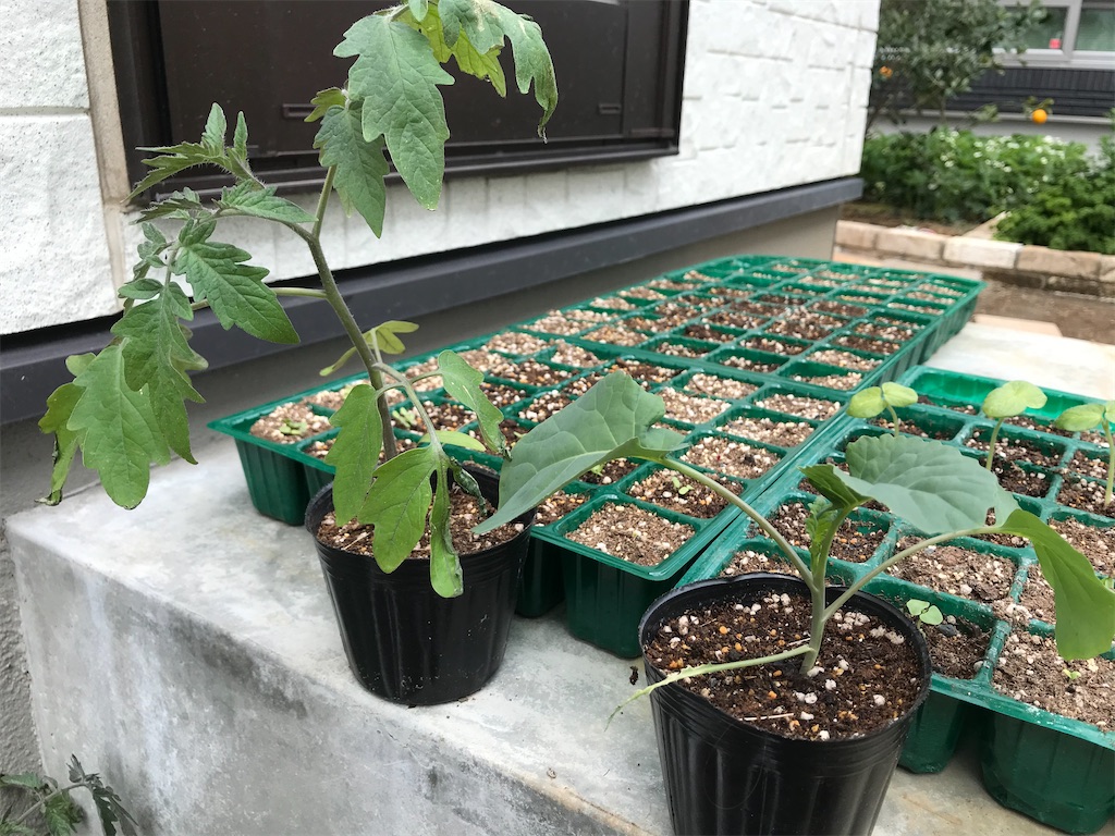 f:id:matundaba79:20200417235522j:image f:id:matundaba79:20200417235522j:image