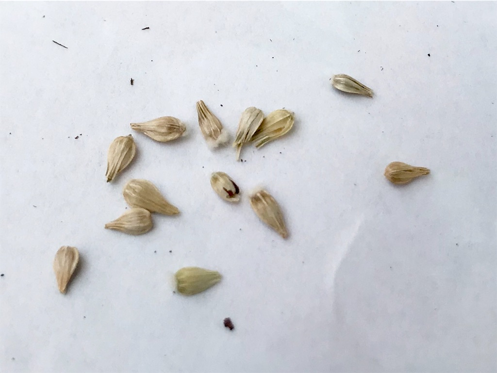 f:id:matundaba79:20200418213146j:image f:id:matundaba79:20200418213146j:image