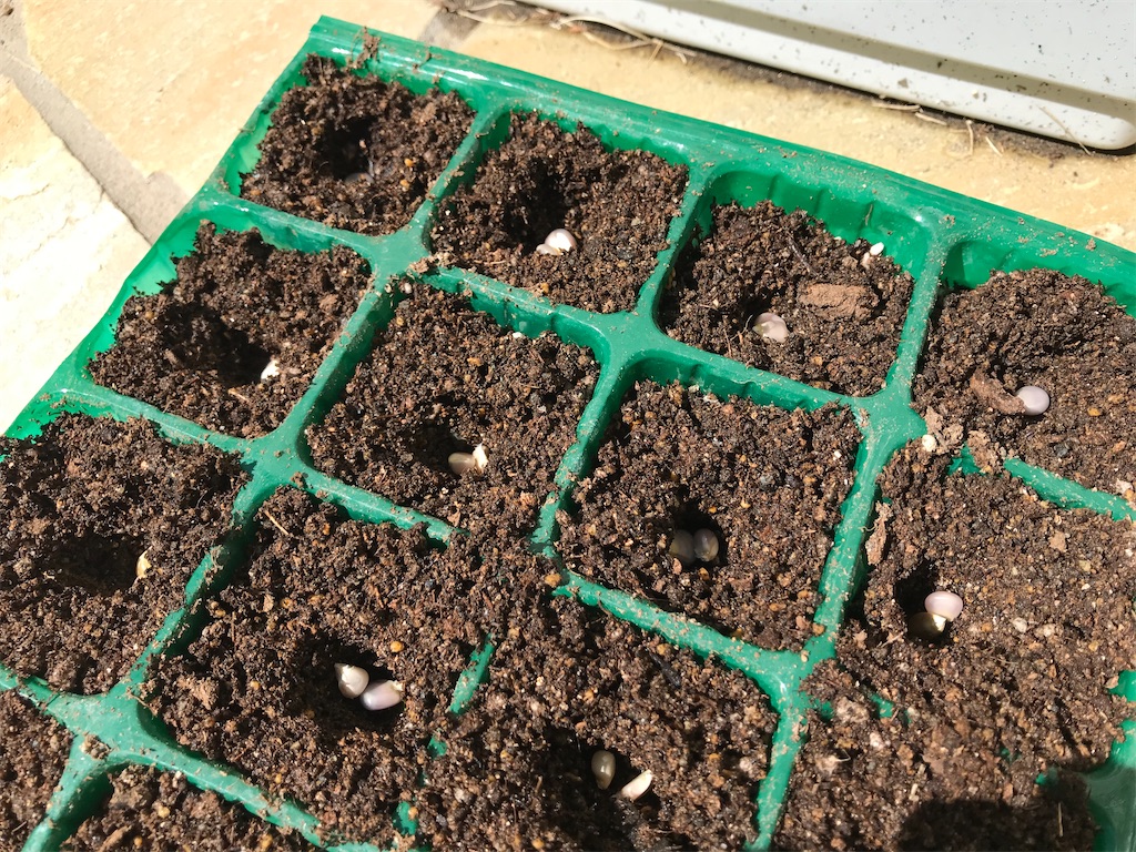 f:id:matundaba79:20200421233441j:image