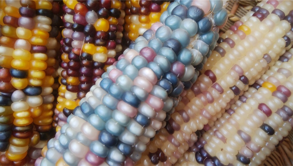 f:id:matundaba79:20200421233458j:image