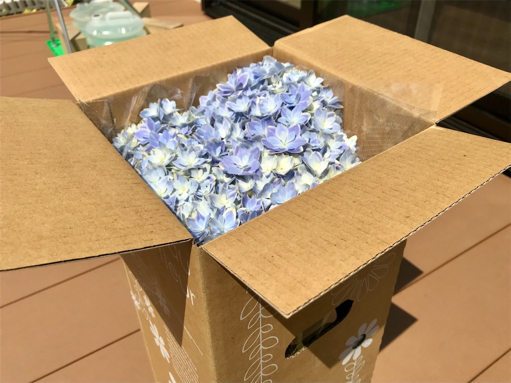 f:id:matundaba79:20200430205030j:image f:id:matundaba79:20200430205030j:image