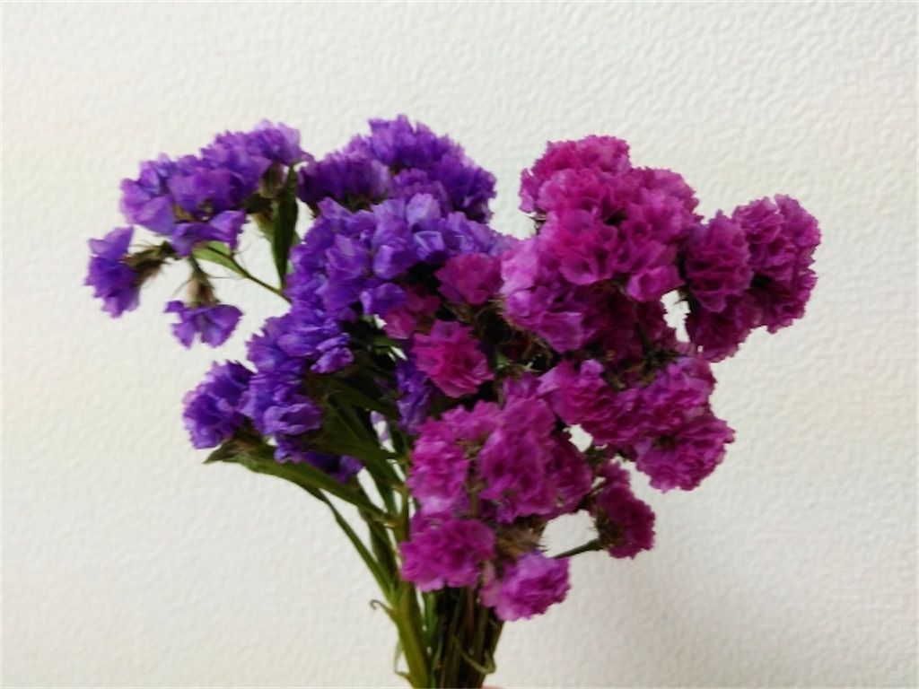 f:id:matundaba79:20200608175745j:image f:id:matundaba79:20200608175745j:image