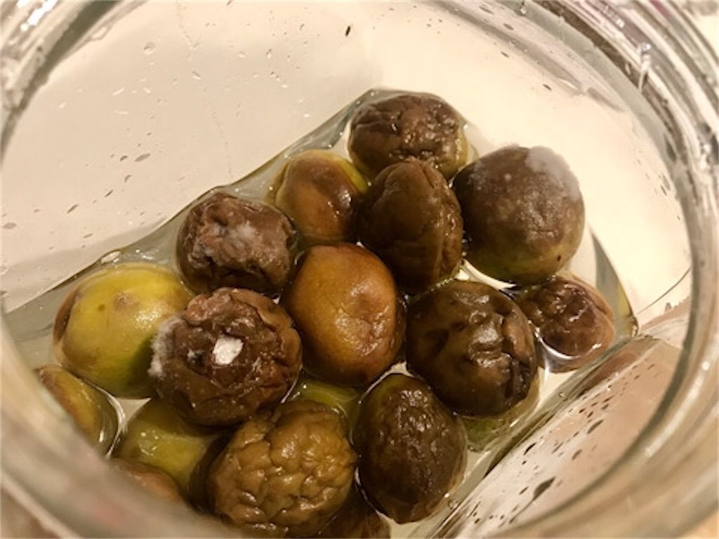梅シロップ 白カビや白い膜が出てきても大丈夫 実はそれ 天然酵母かもしれませんよ アタマの中は花畑