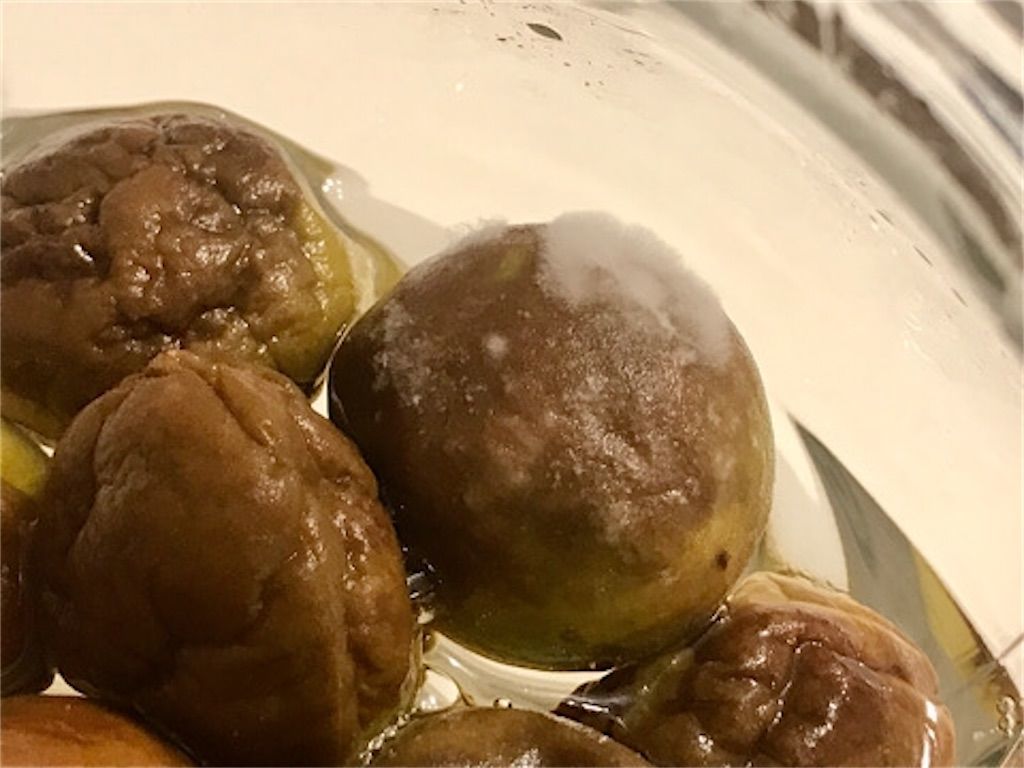 梅 シロップ カビ 見分け 方