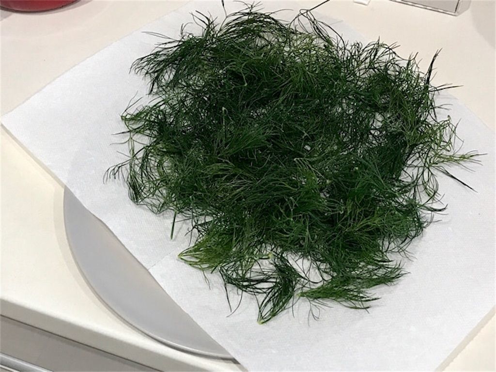 ドライハーブ 電子レンジを使ったドライハーブの作り方 余ったディルを加工してみました アタマの中は花畑