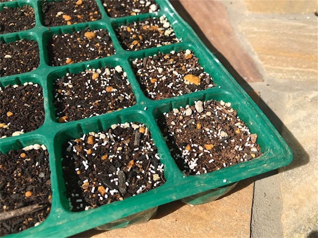 オルトラン ネキリムシ ヨトウムシ被害の対策にオルトランを撒いてみました アタマの中は花畑 オルトラン ネキリムシ ヨトウムシ被害の対策にオルトランを撒いてみました アタマの中は花畑